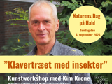 Klavertræet med insekter - åben kunstworkshop med Kim Krone